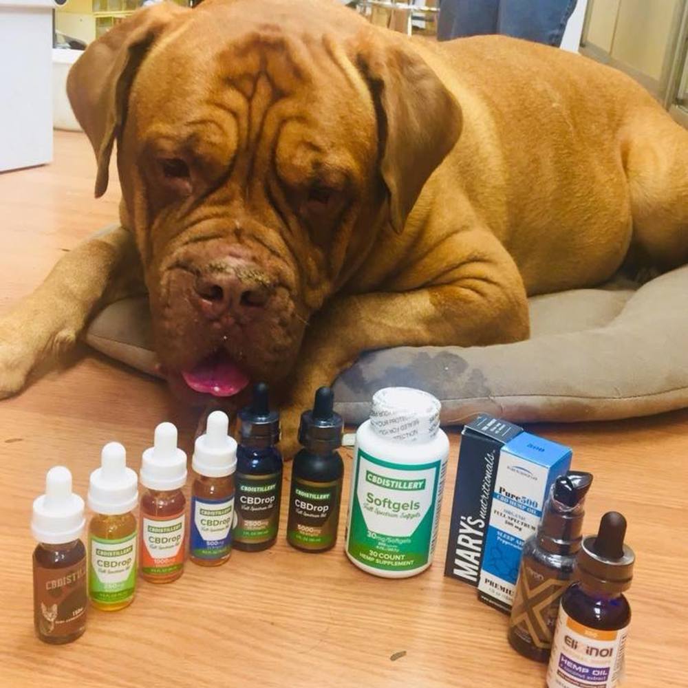 Meet your Posher, Jody